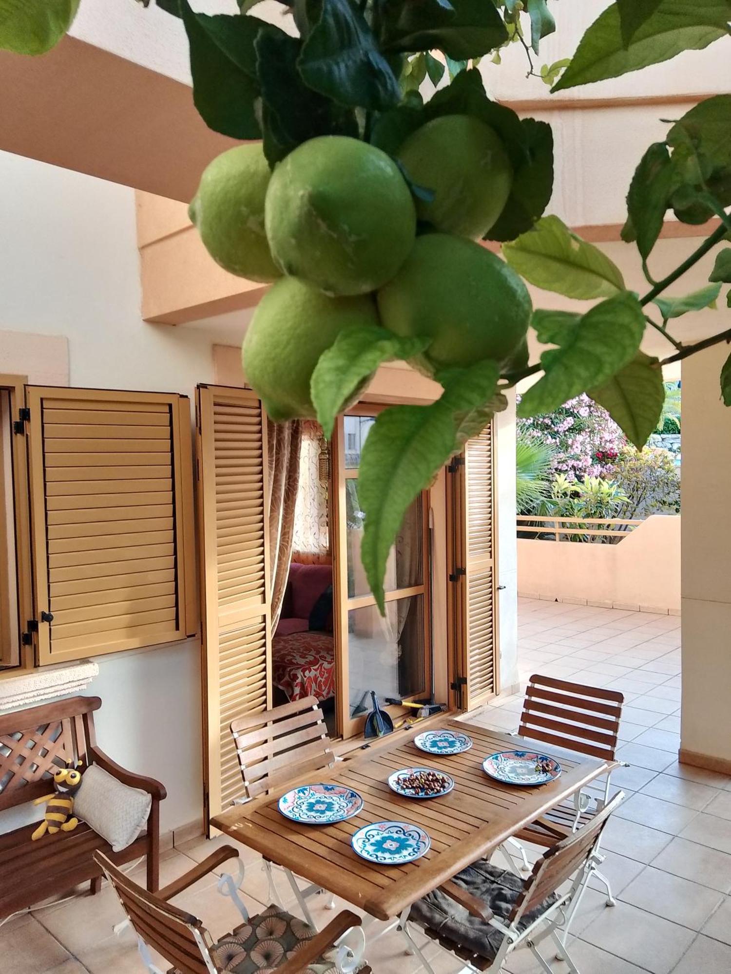 Deluxe Garden Flat Near Terra-Mitica Apartment