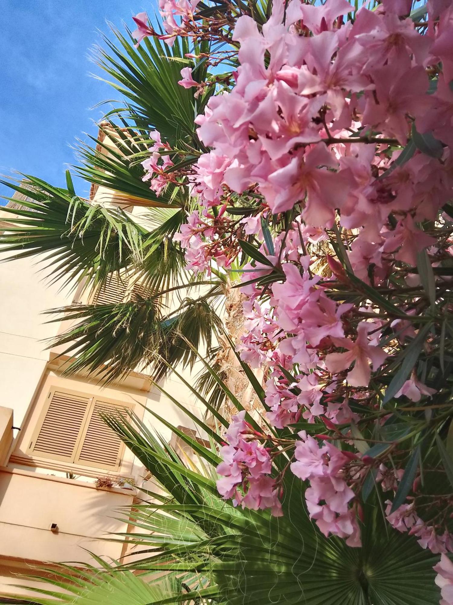 Deluxe Garden Flat Near Terra-Mitica Apartment